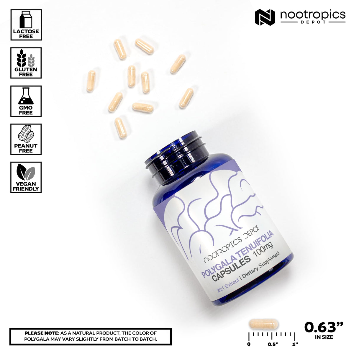 Nootropics Depot Polygala tenuifolia 20:1 Extract 100mg Capsules
