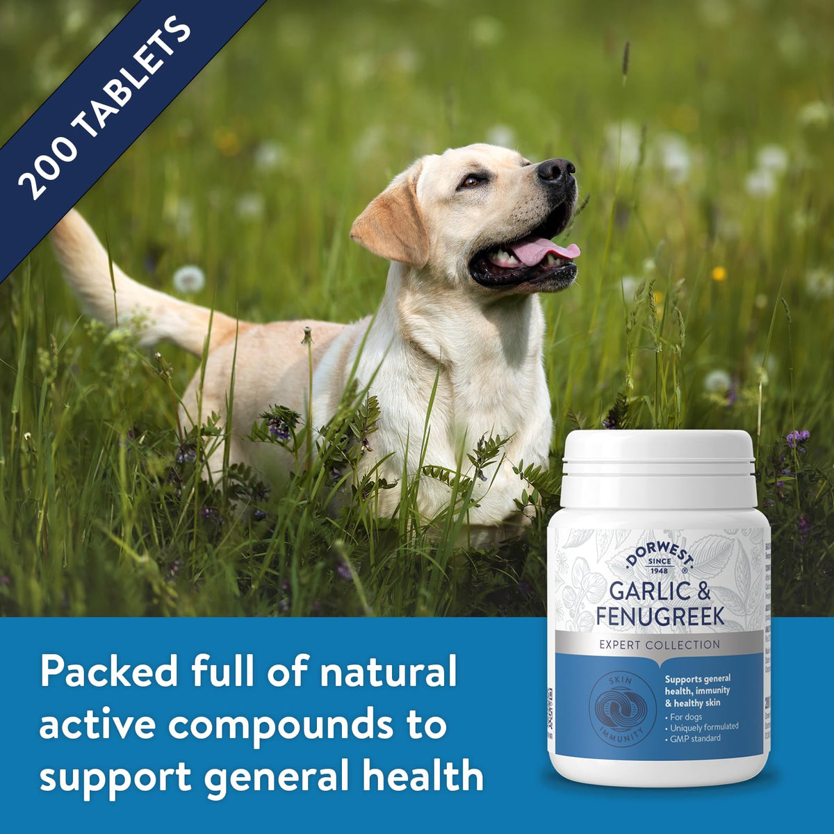 Dorwest Herbs Garlic and Fenugreek Tablets for Dogs and Cats - 200 Tablets - image 5