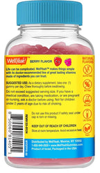WellYeah Kids Probiotic Gummies with Prebiotic Fiber Sugar Free - image 3