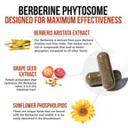 Triquetra Health SoActive Berberine 550mg Capsules - 60 Count - image 4