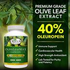 Olivus OliveLeafMAX Olive Leaf Extract (40% Oleuroepin) + Organic - image 4