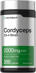 Horbäach Cordyceps Mushroom Capsules CS-4 Strain - 200 Count