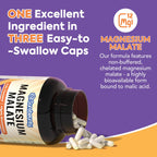 Surebounty Magnesium Malate 230mg - 90 Vegan Capsules - image 3