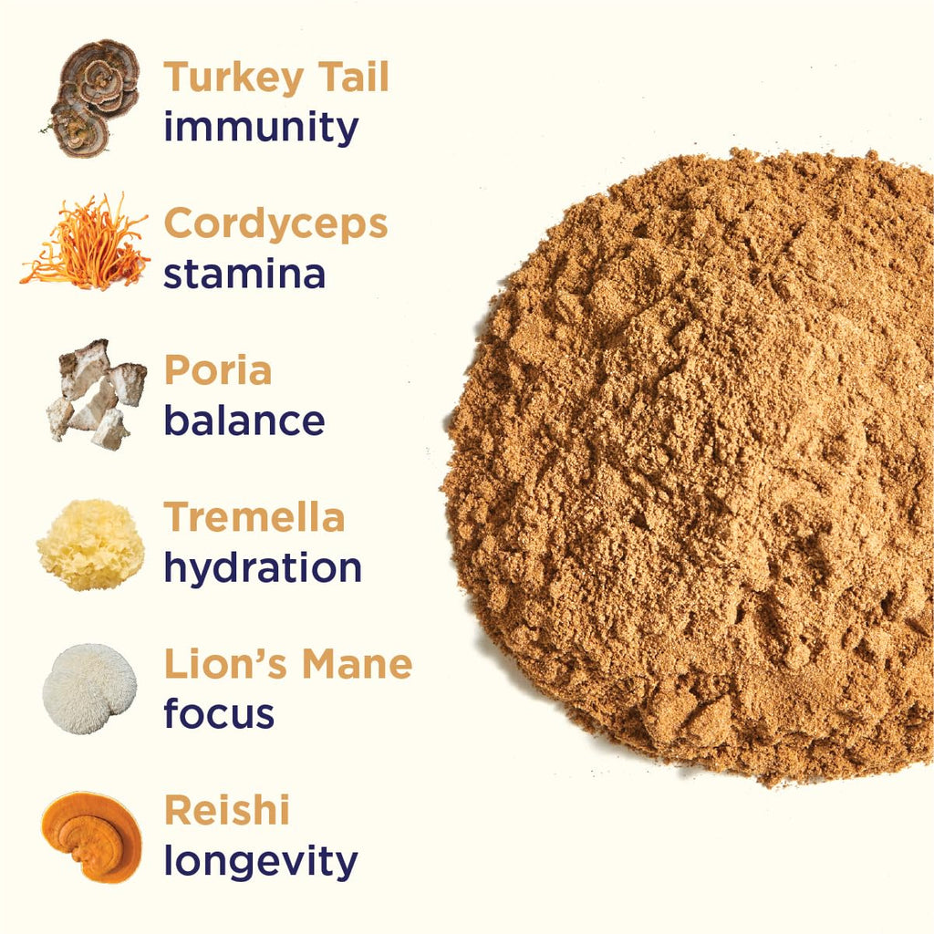Rasa Koffee Magnificent Mushrooms Organic Extract Blend Powder - 1 oz - image 3