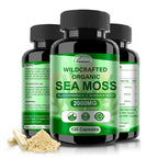 Fleamart Sea Moss Capsules Wildcrafted Bladderwrack Burdock Root
