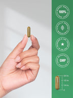 Horbäach Dandelion Root Supplement - 120 Capsules - image 7