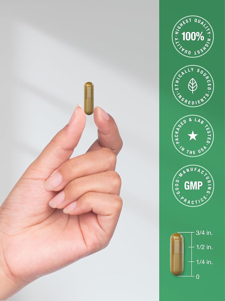 Horbäach Dandelion Root Supplement - 120 Capsules - image 7