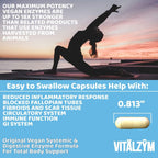 VITÄLZYM Original Proteolytic Systemic Enzyme Formula - 450 Capsules - image 6