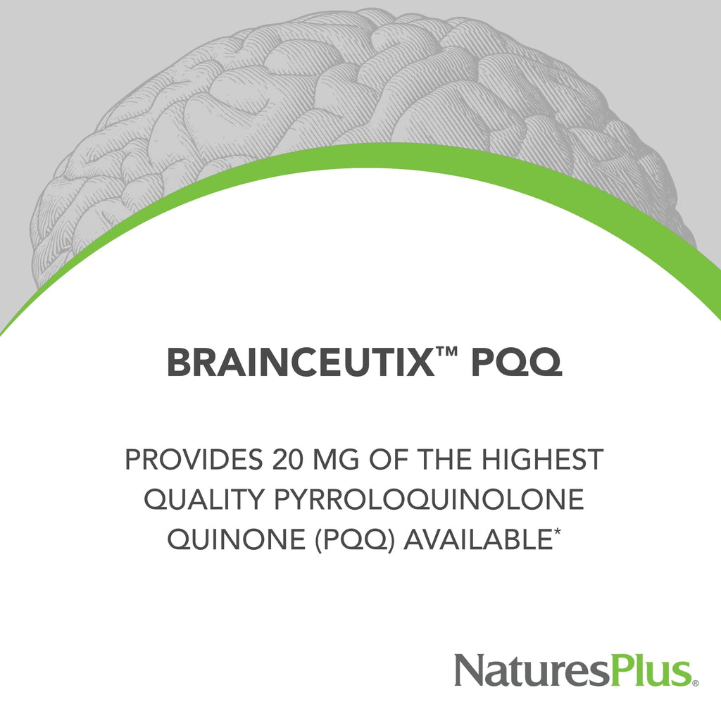 Nature's Plus Brainceutix PQQ Brain Support - 60 Vegan Capsules - image 2