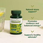 Banyan Botanicals Organic Adrenal Nourish Stress Relief - 90 Tablets - image 2