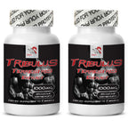 Health Solution Prime Tribulus Terrestris Extract 1000mg - 180 Tablets - image 2
