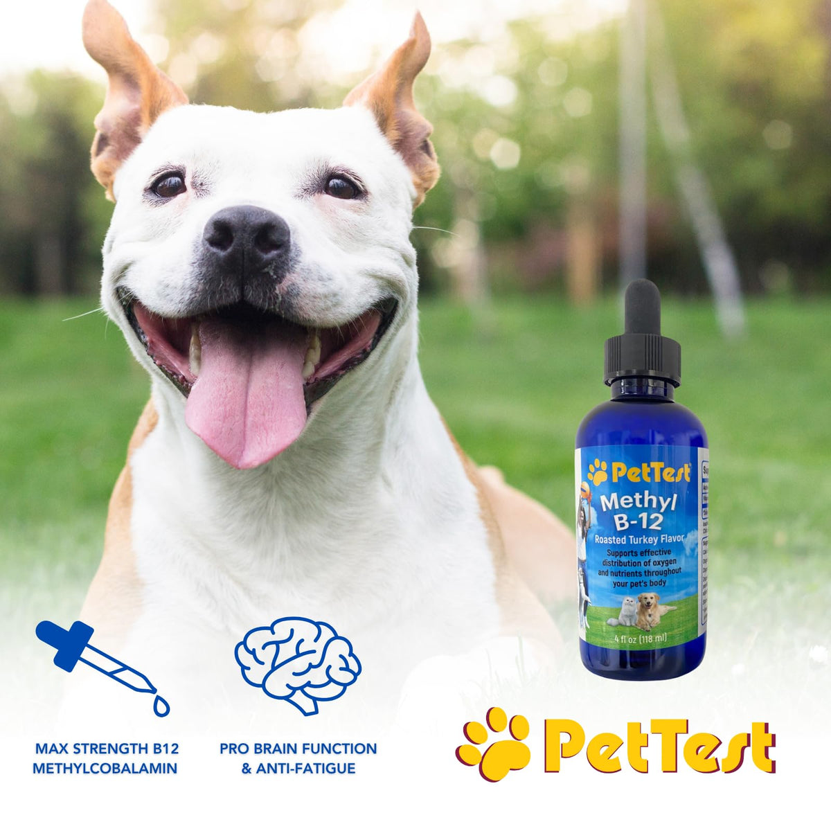 Advocate Pettest Methyl B12 Liquid Drops for Dogs & Cats - 4 fl oz - image 2