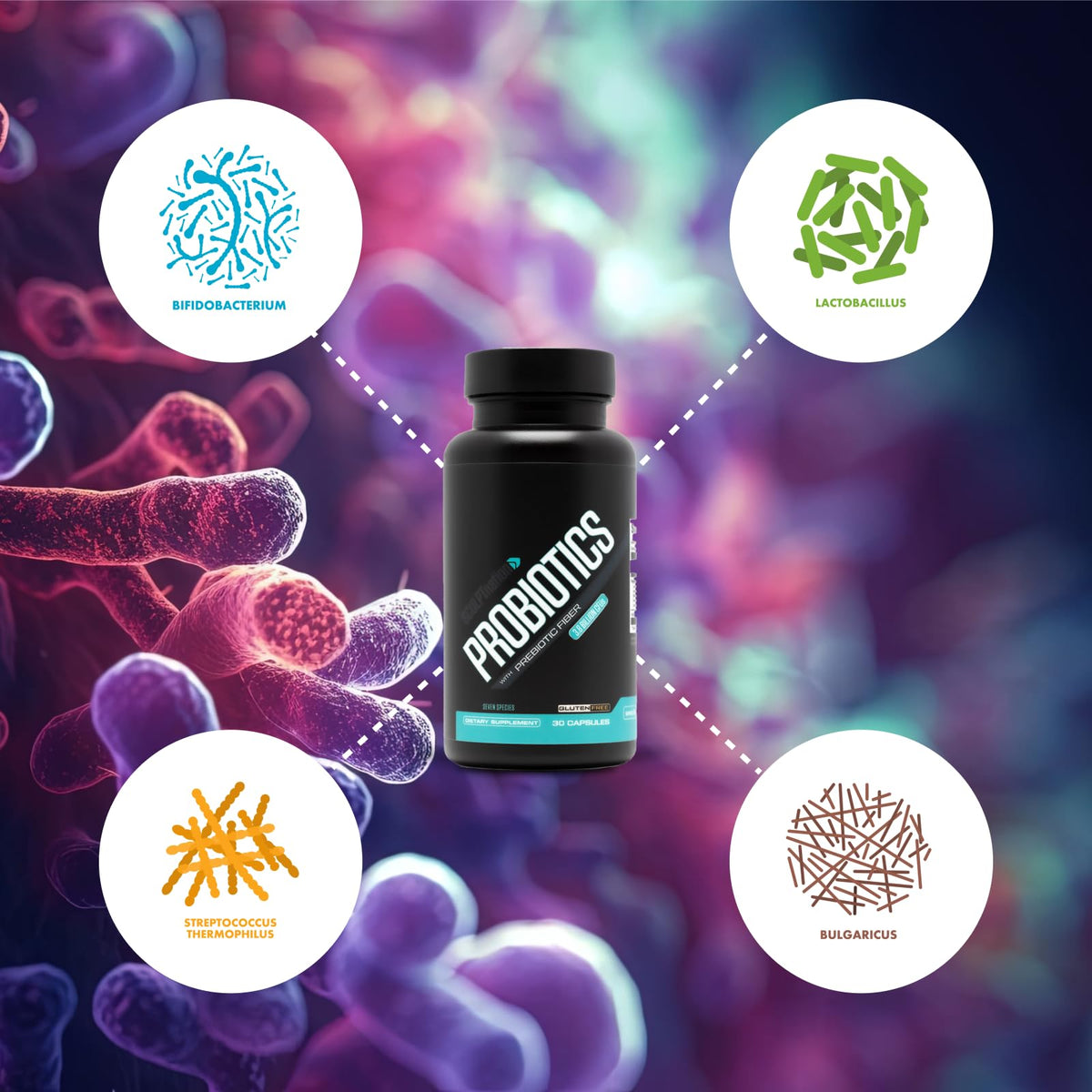 Sculpt Nation Premium Probiotics Digestive Support - 30 Capsules - image 3