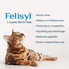 Felisyl L-Lysine Gel for Cats & Kittens (5oz)