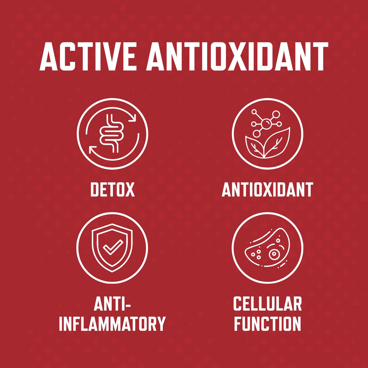 Purus Labs Organ Shield Active Antioxidant - 60 Capsules - image 3