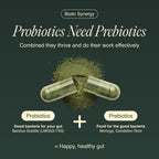 Ecosh Bacillus Subtilis Spore Probiotic for Digestive Balance - 90 Capsules - image 5