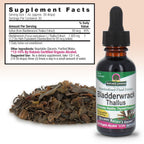 Nature's Answer Bladderwrack Thallus Liquid Extract - 1 Fl Oz - image 3