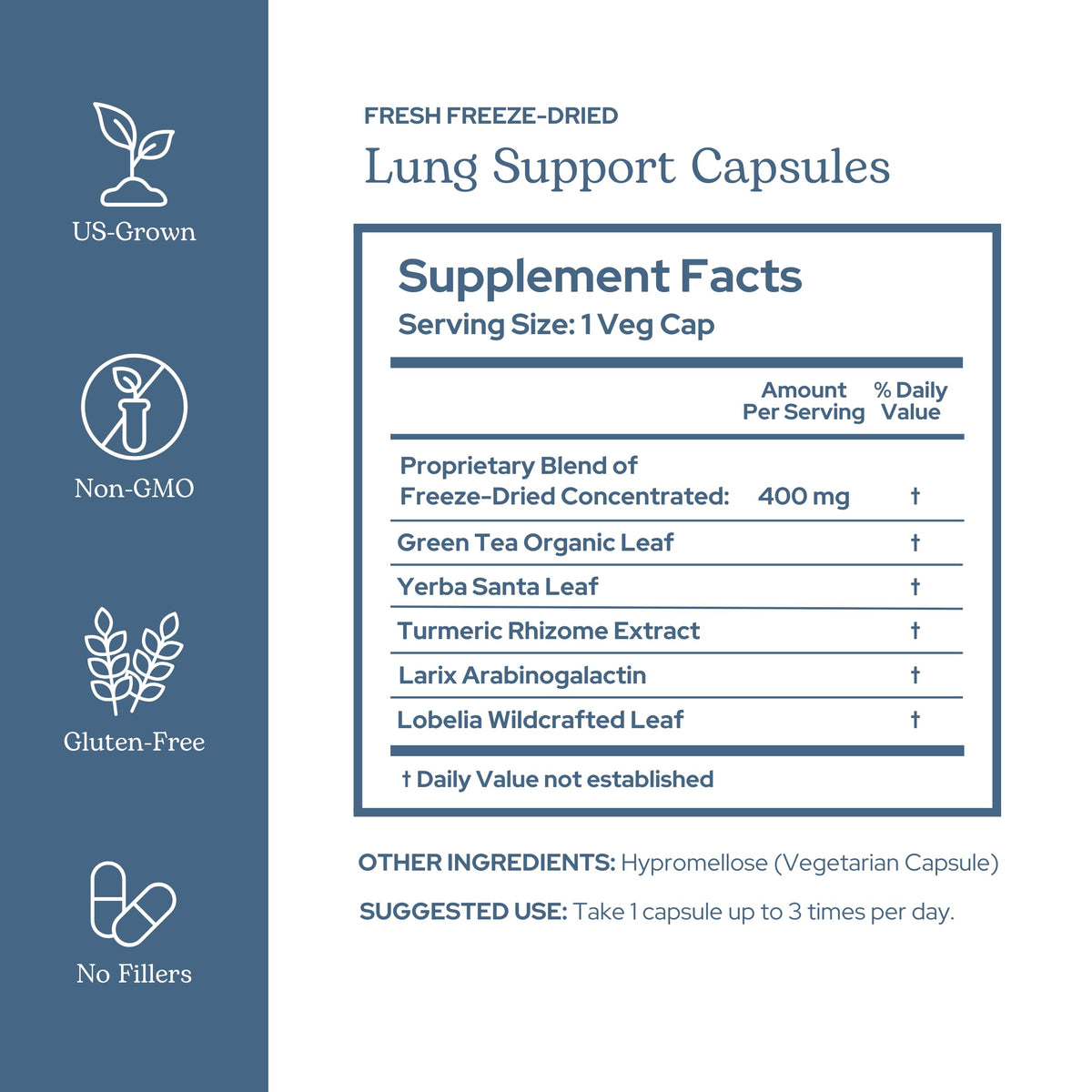 Eclectic Institute Concentrated Lung Support Capsules - 45 Count - image 2