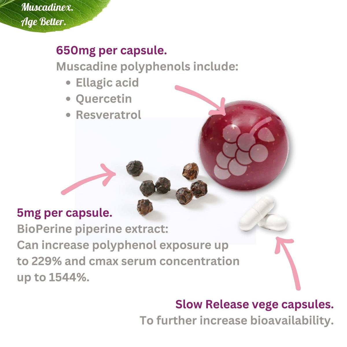 MUSCADINEX Whole Muscadine Supplement Antioxidant - 1 Capsules - image 4