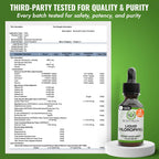 Benevolent Nourishment Chlorophyll Liquid Drops Peppermint - 2 Fl Oz - image 6