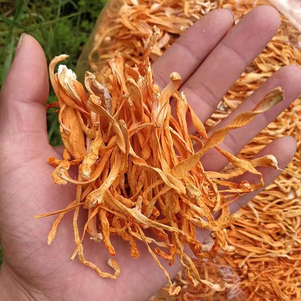 SIFANGDA Cordyceps Flower 虫草花/Dried Cordyceps Mushroom