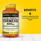 MASON NATURAL Optimal Absorption Turmeric 500 mg - 60 Capsules - image 2