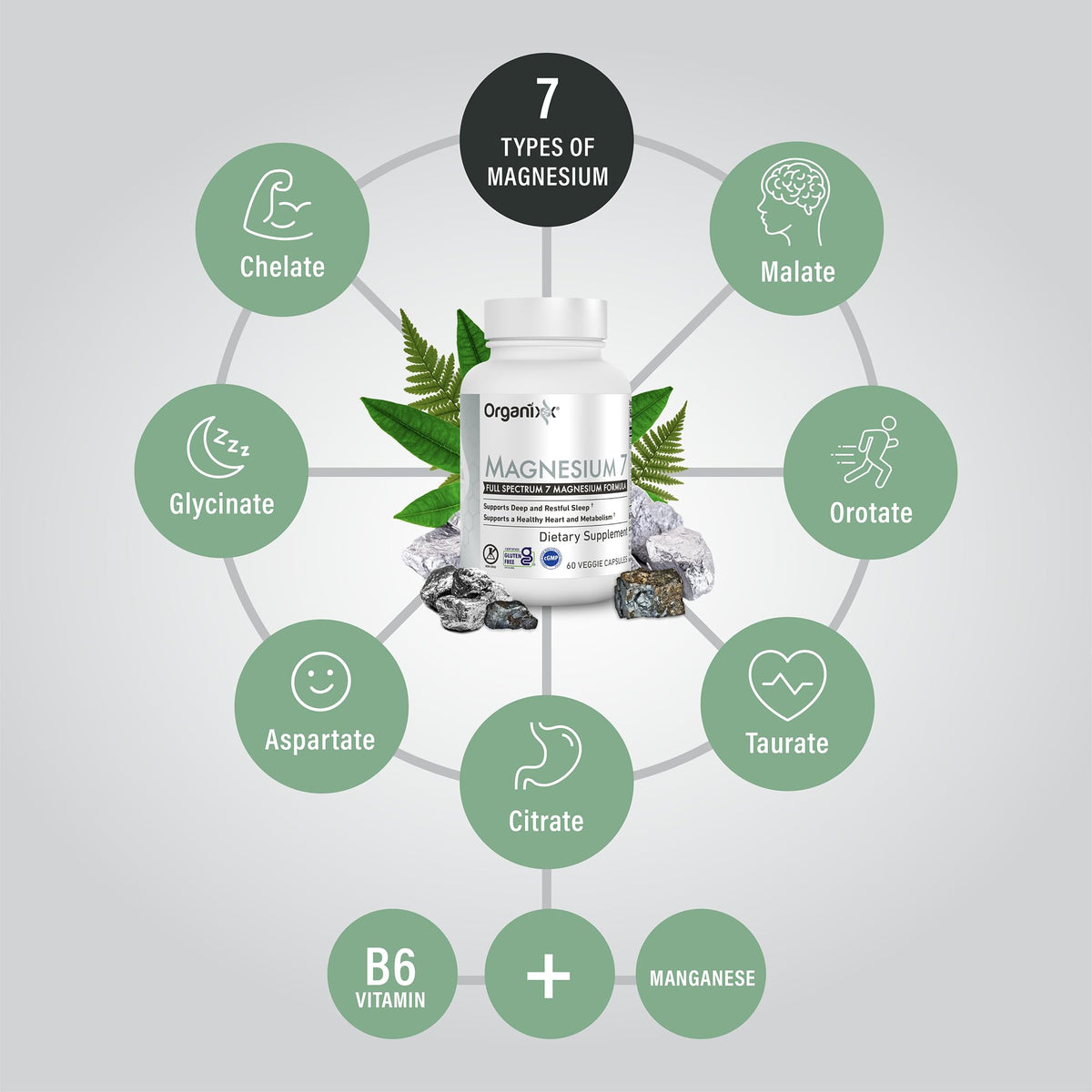 Organixx Magnesium Supplement