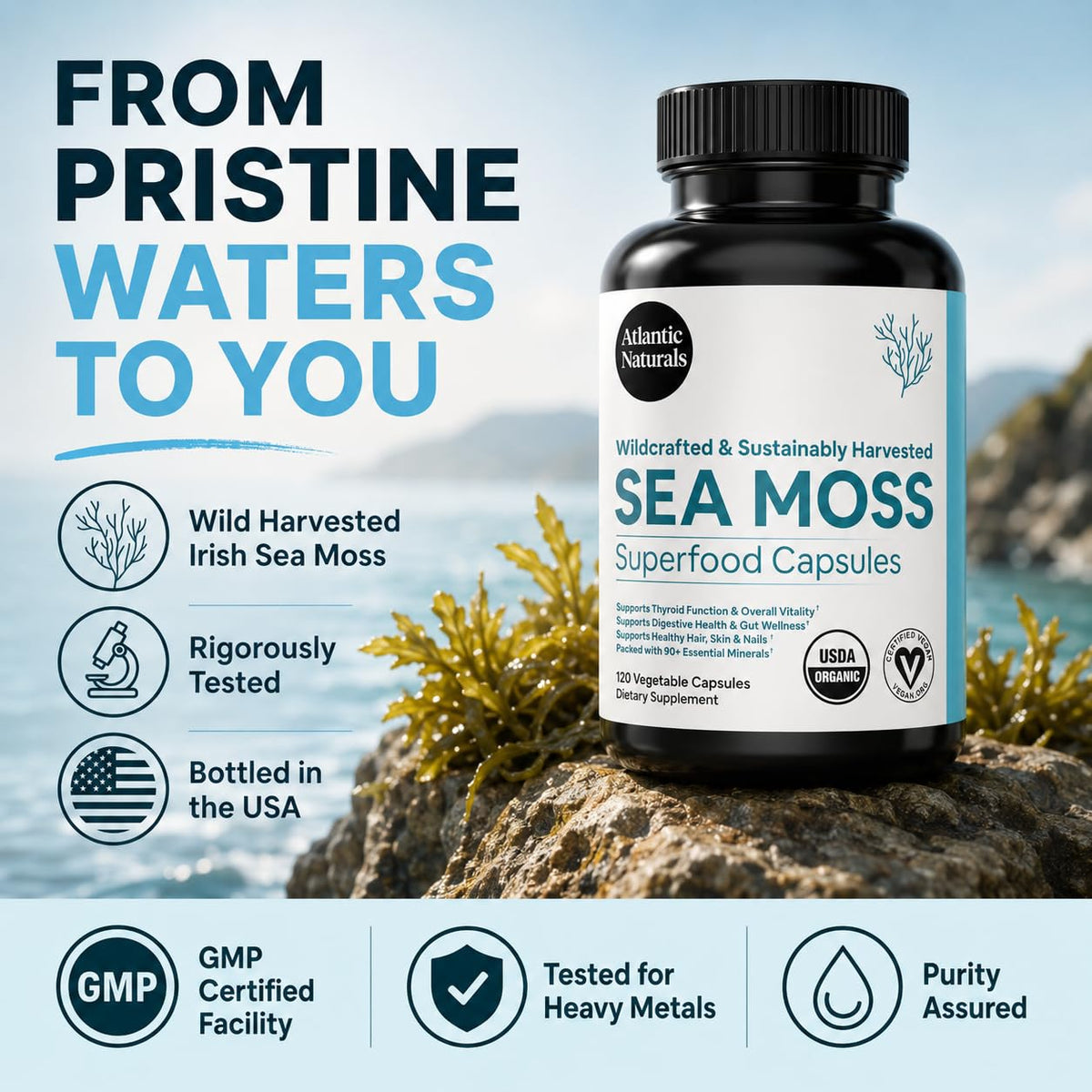 Atlantic Naturals Organic Irish Sea Moss Capsules - 120 Vegetarian Capsules - image 7