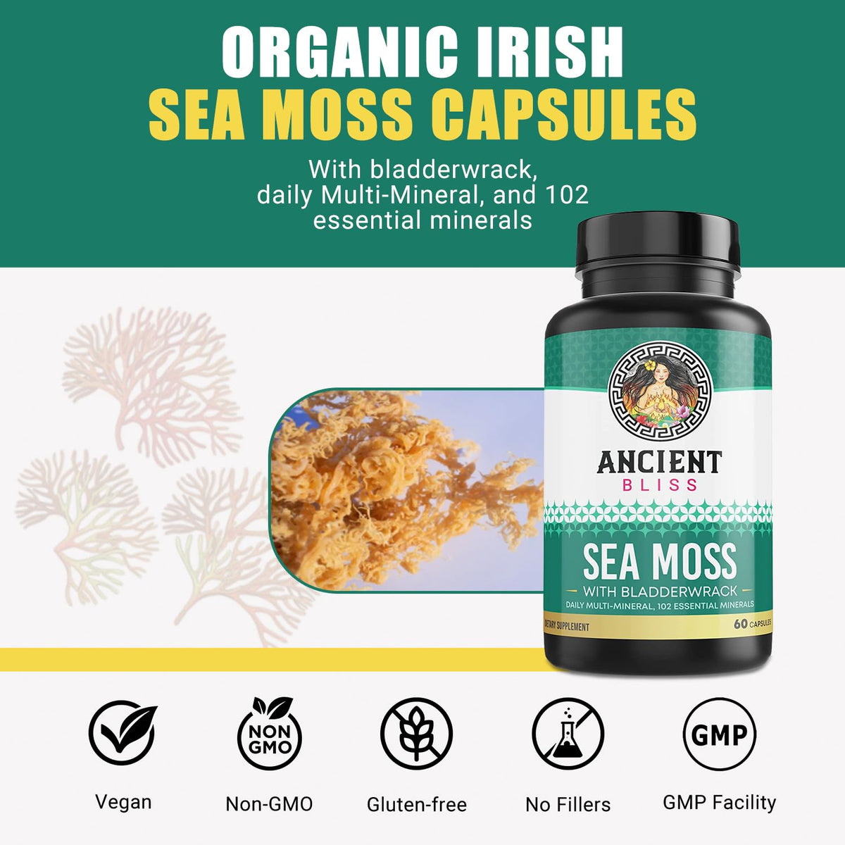 Ancient Bliss Organic Irish Sea Moss Capsules - 120 Capsules - image 2