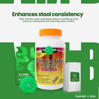 LightSpring Psyllium Fiber Capsules - 360 Count - image 5