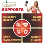 Organic Cadane Berberine Supplement - 150 Vegetarian Capsules - image 5