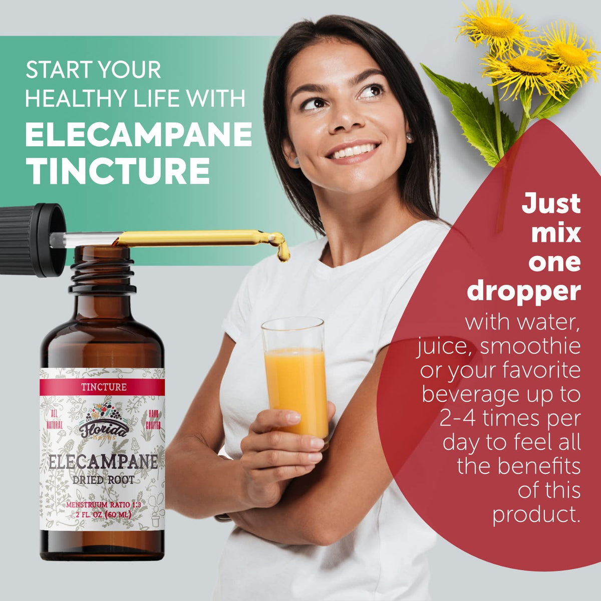 FLORIDA HERBS Elecampane Tincture Organic Extract - 2 oz - image 4