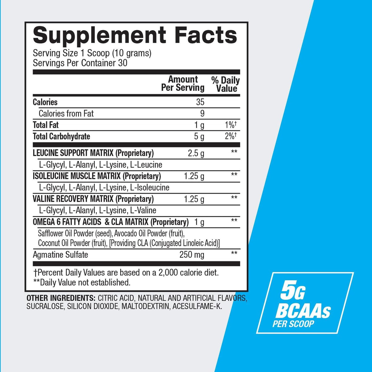 BPI Sports Best BCAA - BCAA Powder Post Workout Sports Drink