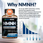 Rainbow Nutrients NMNH NAD Booster Capsules - 60 Capsules - image 2