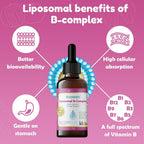 Nuvamin Liquid Liposomal Vitamin B Complex for Kids - 2 Fl Oz - image 2
