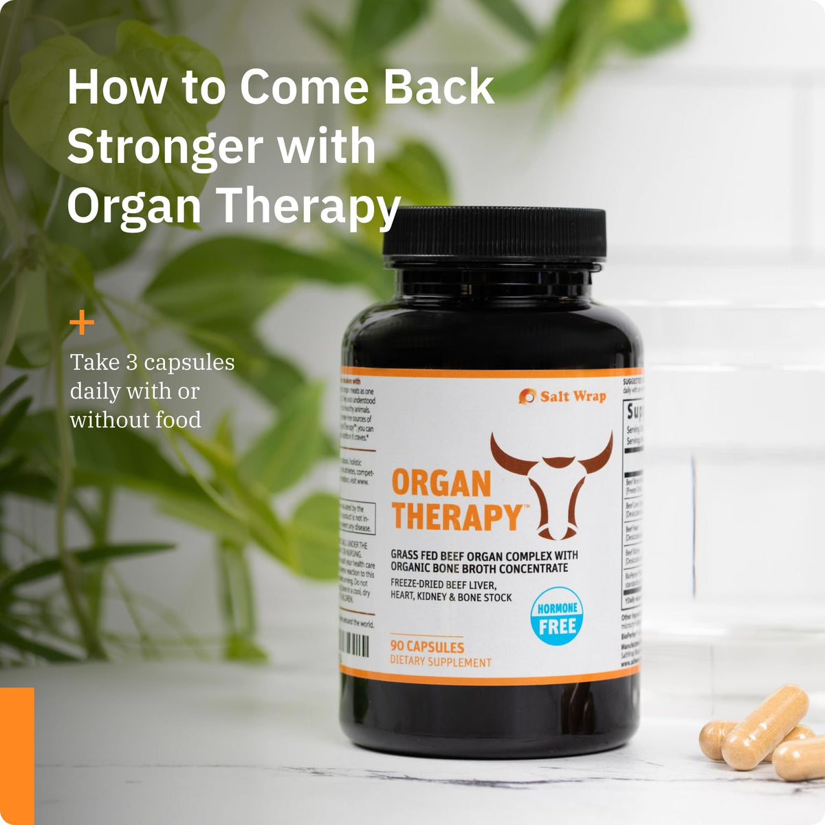 SaltWrap Organ Therapy Grass Fed Beef Complex - 90 Capsules - image 5