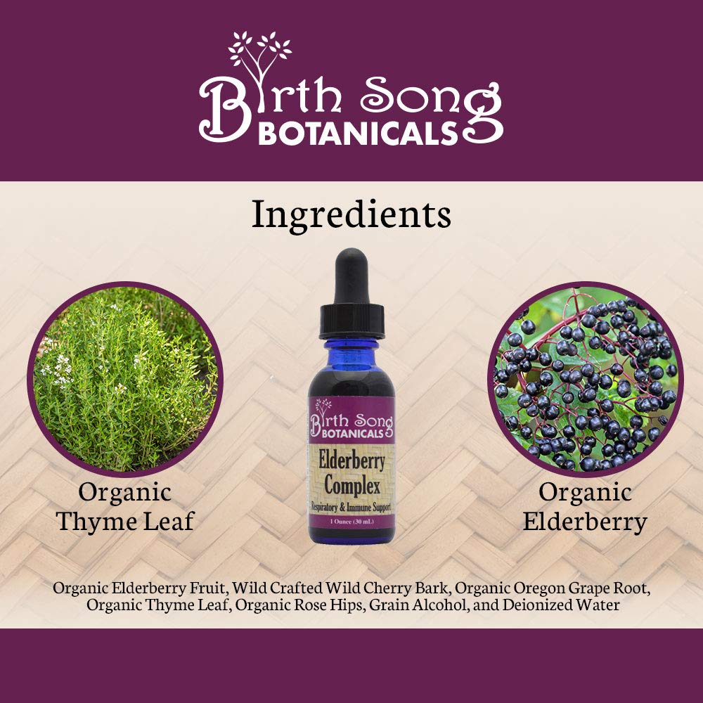 Birth Song Botanicals Elderberry Complex Tincture - 1 Fl Oz - image 3