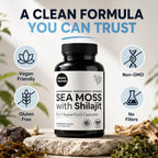 Atlantic Naturals Irish Sea Moss & Shilajit Capsules - 60 Count - image 7