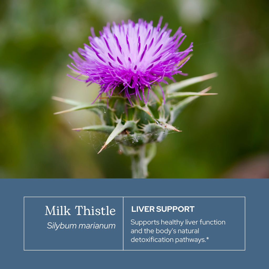 Eclectic Institute Organic Milk Thistle Liquid Extract - 1 fl oz - image 3