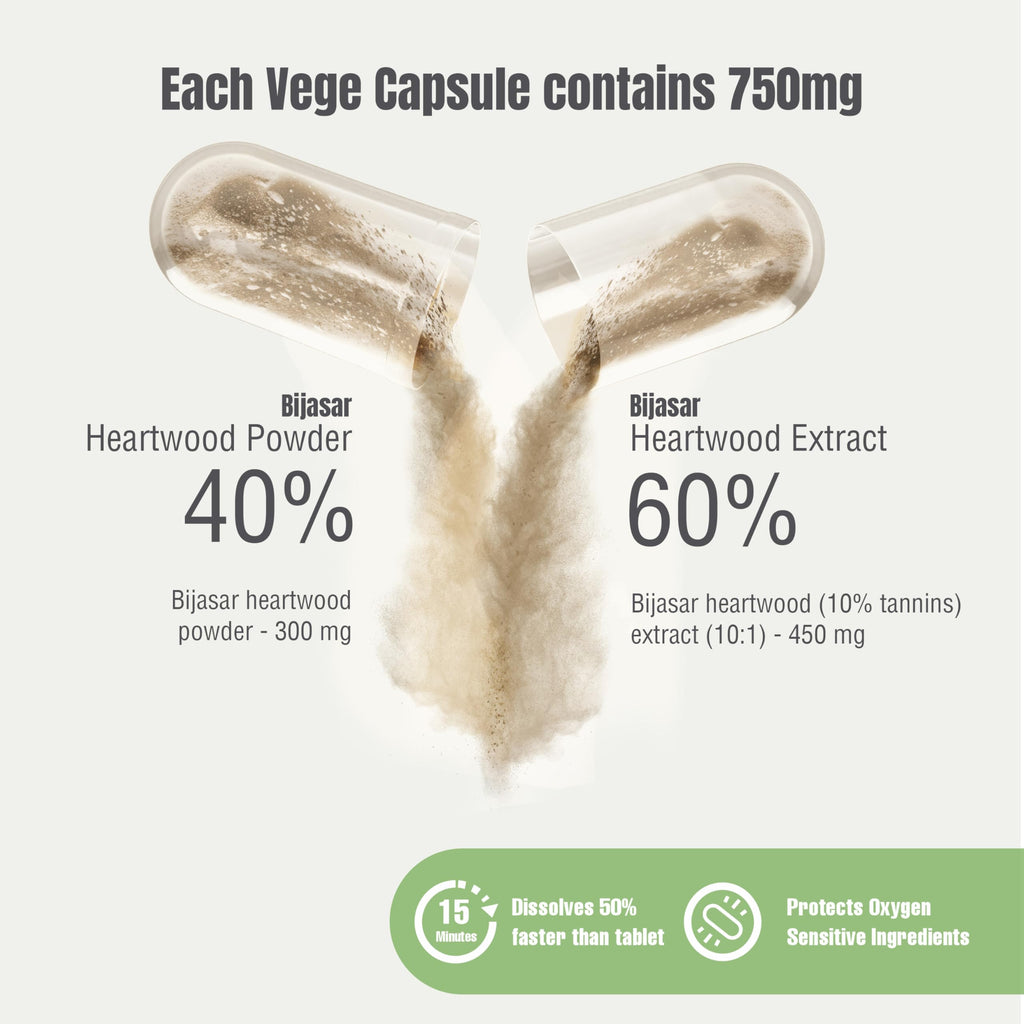 Herbsforever Bijasar Indian Kino Tree Extract - 60 Vegetarian Capsules - image 4