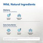 NORTH AMERICAN HERB & SPICE Elder-C Immune Support - 60 Capsules - image 3