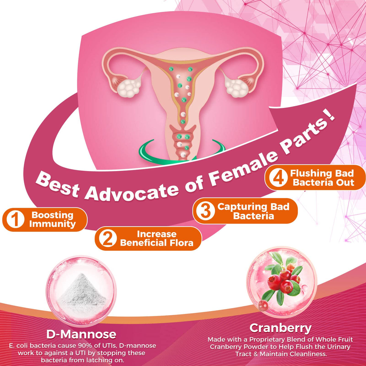 ZEBORA Women's Probiotic 100 Billion CFUs - 45 Servings - image 4