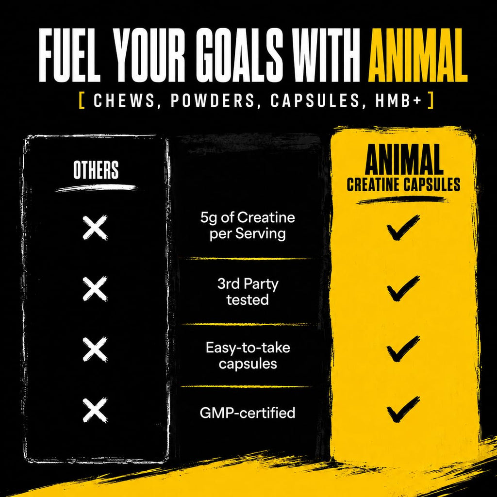 Animal