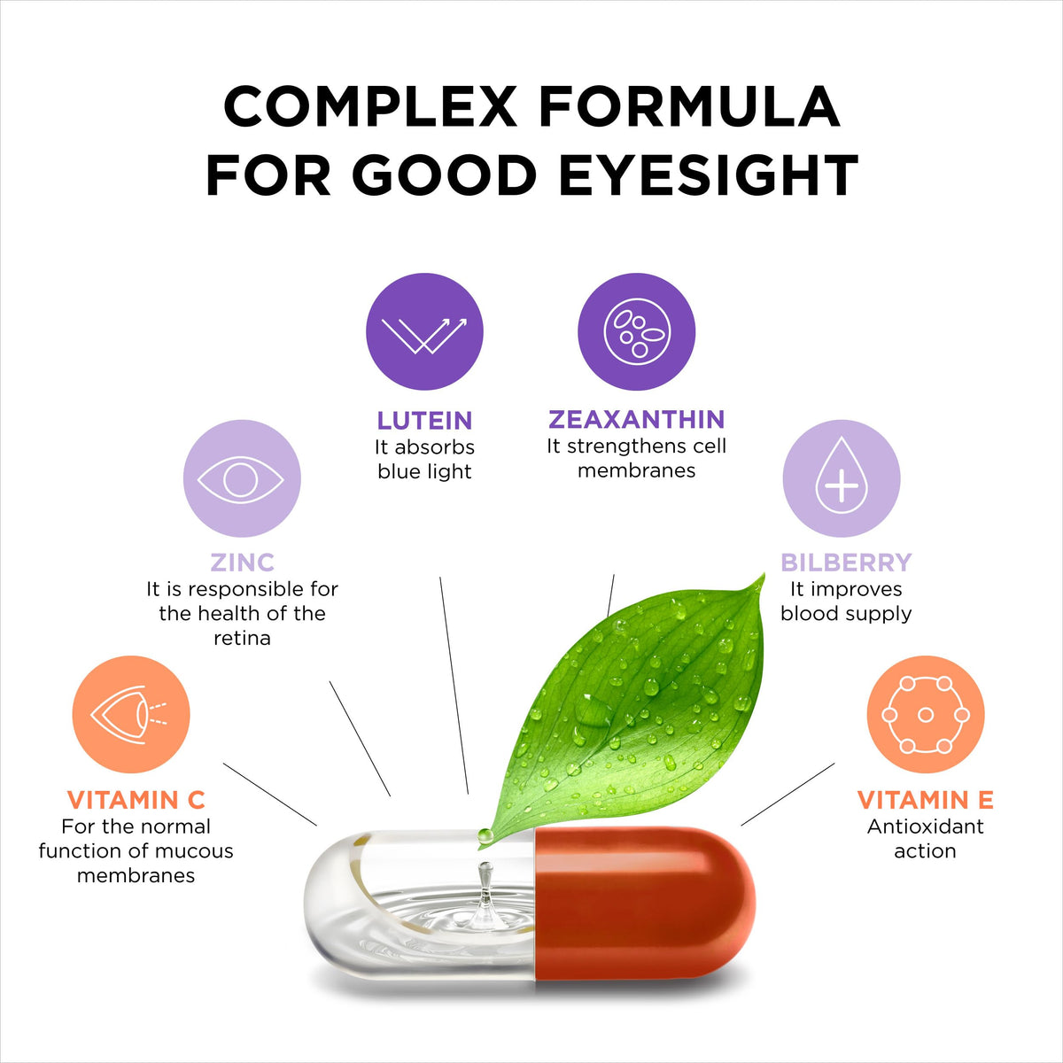 ZeaForce Vision Support Multivitamin - 90 Capsules - image 6