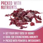 XPRS Nutra Dulse Powder (Palmaria Palmata) - Canadian Grown Nova
