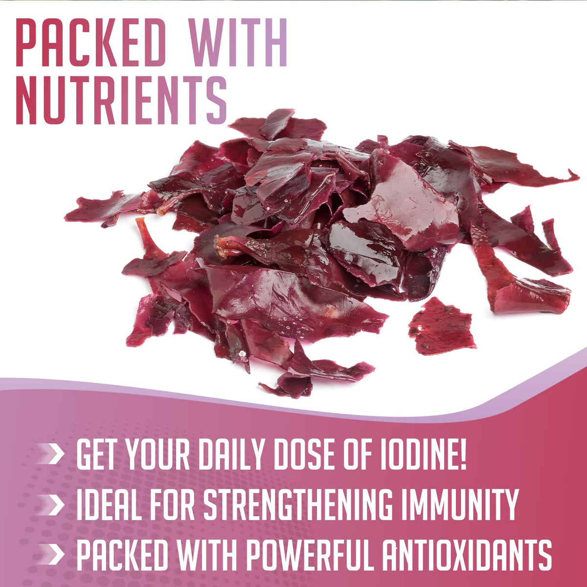 XPRS Nutra Dulse Powder (Palmaria Palmata) - Canadian Grown Nova