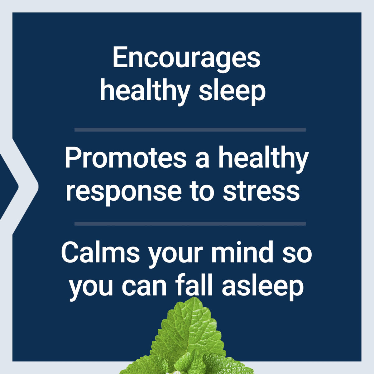 Life Extension Herbal Sleep PM - 30 Vegetarian Capsules - image 4