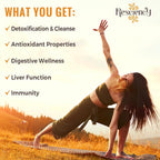 Resciency Binder_Supplement