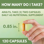 Arymar Diosmin Plus 900 Circulatory Support - 60 Capsules - image 7