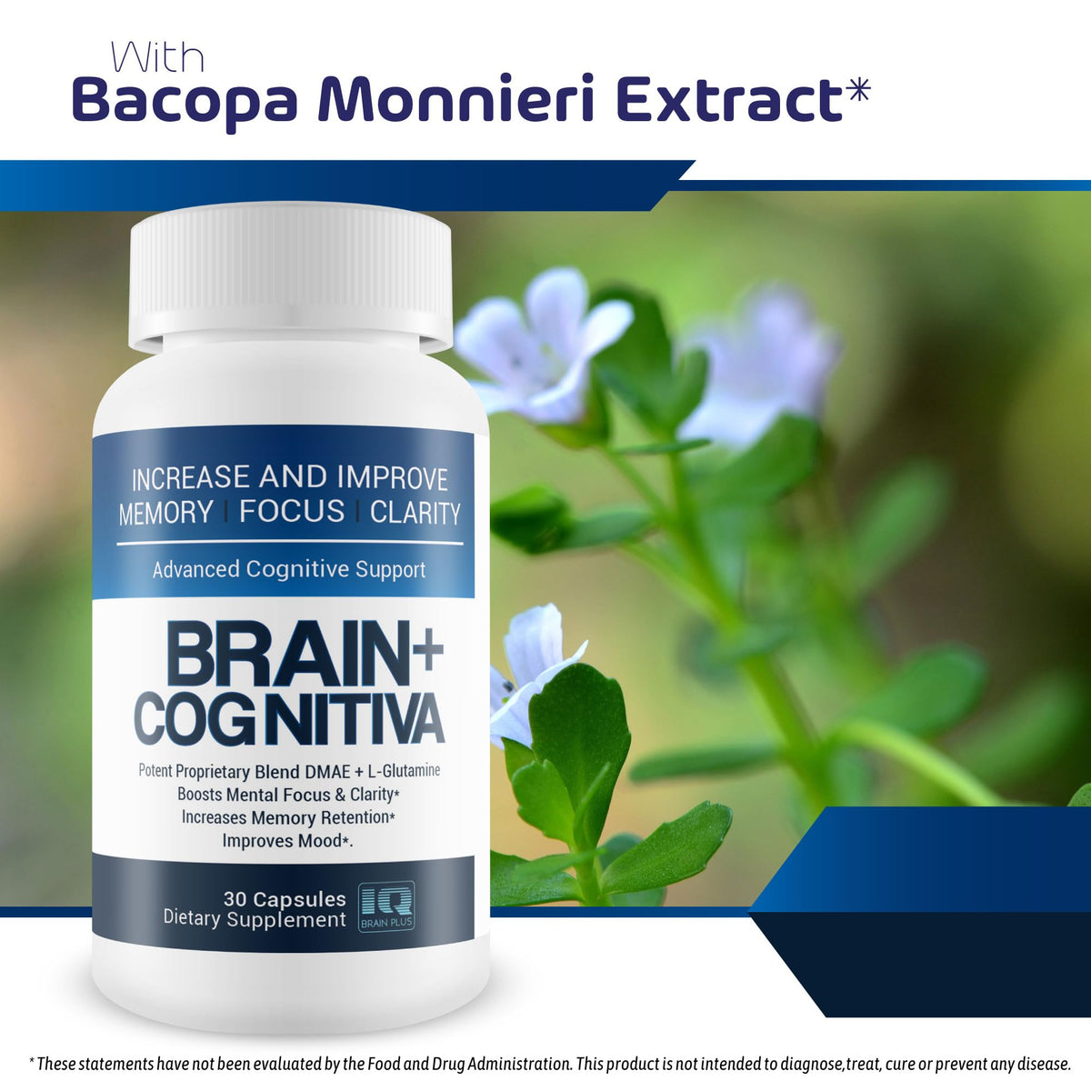 IQ Brain Plus Brain+ Cognitiva Capsules for Mental Focus - 60 Capsules - image 5